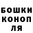 Конопля сатива Kingding6