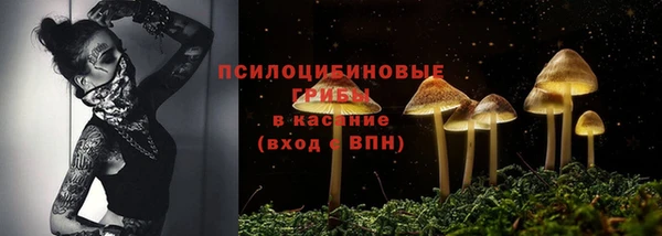 apvp Алексеевка