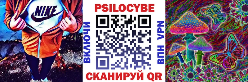 Псилоцибиновые грибы Psilocybine cubensis  закладка  Салават 