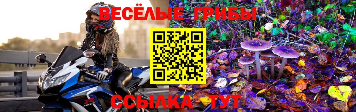 Салават  Псилоцибиновые грибы ЛСД  Вход с VPN 